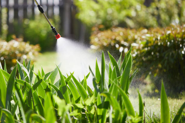 24/7 Emergency Termite Control experts in Gallipolis, OH