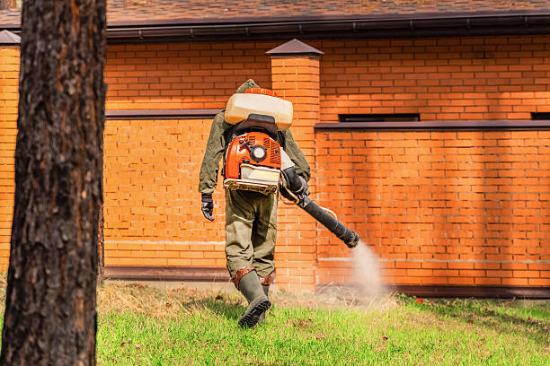 Top rated local Termite Control specialists in Gallipolis, OH